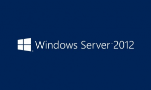 Windows Server a fait l’objet d’attaques ciblées suite à l’apparition d’une vulnérabilité critique sur toutes ses versions. 