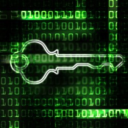 Les hackers demandent alors une rançon en bitcoins en échange de la clé permettant de déchiffrer les données.