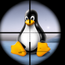 Les serveurs Linux piratés par Linux.Encoder 1