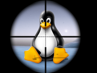 Les serveurs Linux piratés par Linux.Encoder 1